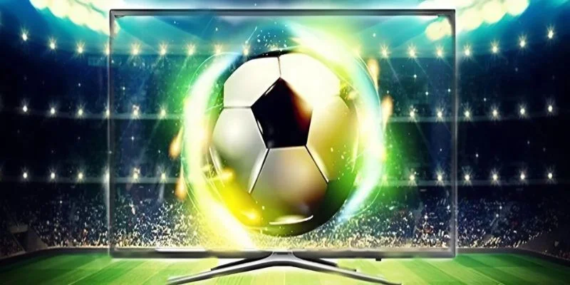 Quy Định Bản Quyền CakhiaTV - Những Chính Sách Cần Biết 2026 2 Trách nhiệm người dùng trong bản quyền của cakhiatv