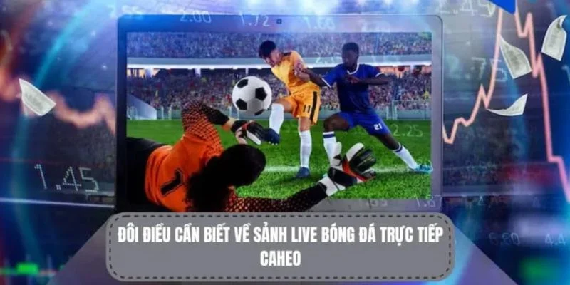 CaheoTV Và CakhiaTV: Đâu Là Web Bóng Đá Nổi Bật 2025? 4 Chất lượng phát sóng caheotv mượt mà