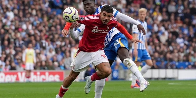 Soi Kèo Brighton Vs Chelsea 03h00 15/02/2025 Ngoại hạng Anh 2 Brighton mới bị Nottingham Forest vùi dập với tỷ số 0-7 không tưởng