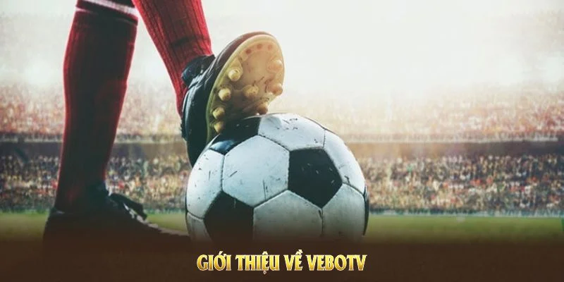 VeboTV Và CakhiaTV - Khác Biệt Giữa 2 Nền Tảng Live Bóng Đá 2 Giới thiệu về VeboTV, nền tảng bóng đá thu hút người hâm mộ