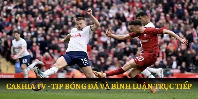 Mitomtv: Đưa lên bàn cân cùng Cakhia TV trực tuyến 2025 4 Cakhia tv: tip bóng đá và bình luận trực tiếp