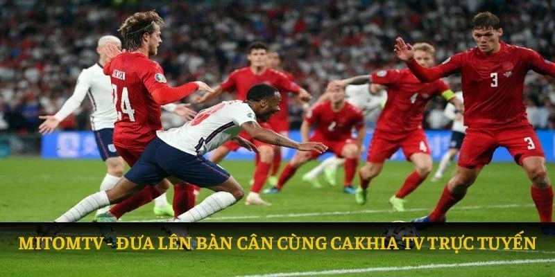 Mitomtv: Đưa lên bàn cân cùng Cakhia TV trực tuyến 2025 1 so sánh mitomtv vs cakhiatv