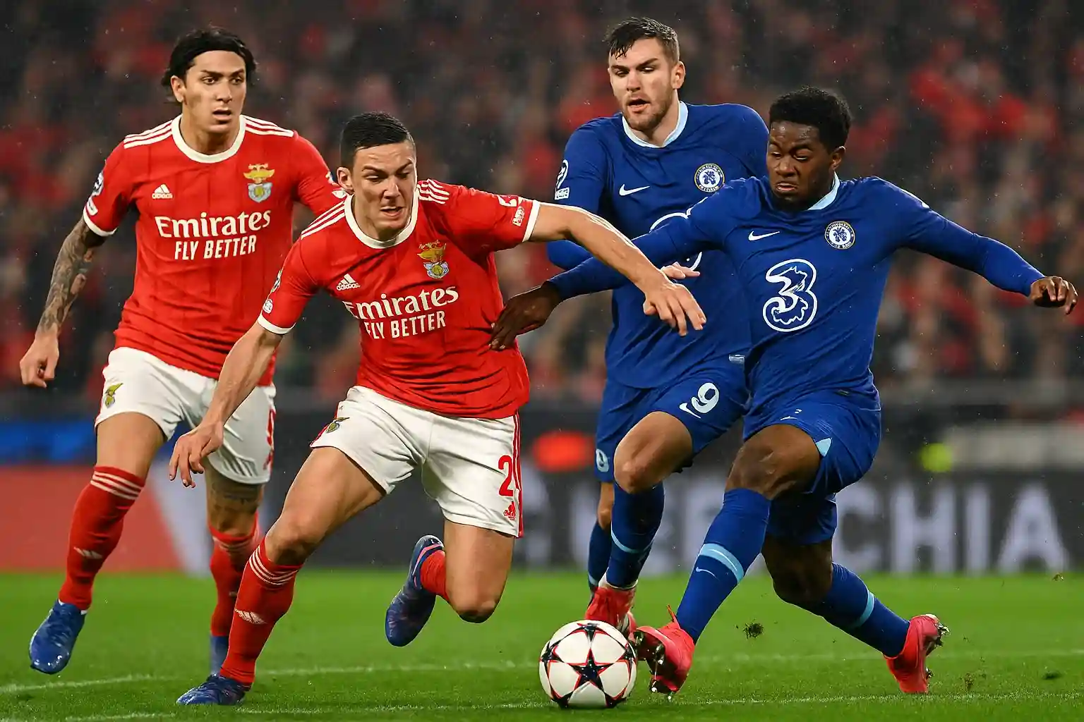 Link trực tiếp bóng đá Benfica vs Chelsea 29/06 - 03:00 2 Link trực tiếp bóng đá 29/06 Benfica vs Chelsea