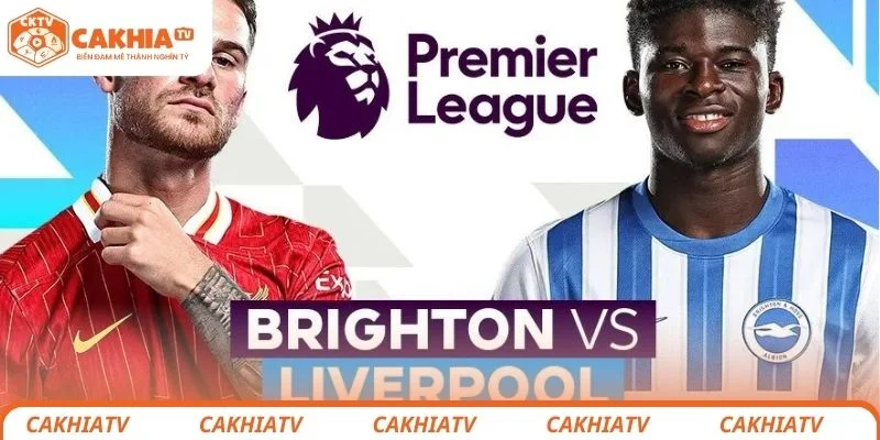 Nhận Định Liverpool vs Brighton - Nhà Vua Có Bị Đánh Bại? 2 Đánh giá thông tin tổng quan về trận đấu giữa Liverpool vs Brighton