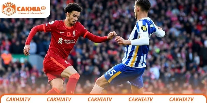Nhận Định Liverpool vs Brighton - Nhà Vua Có Bị Đánh Bại? 4 Dự đoán kết quả chung cuộc trận đấu giữa Liverpool vs Brighton