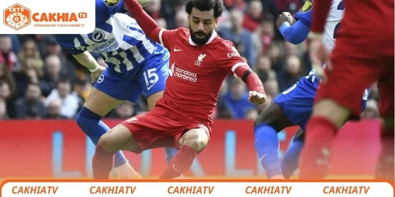 Nhận Định Liverpool vs Brighton - Nhà Vua Có Bị Đánh Bại? 3 Nhận định chi tiết tình hình lực lượng 2 đội bóng Liverpool vs Brighton