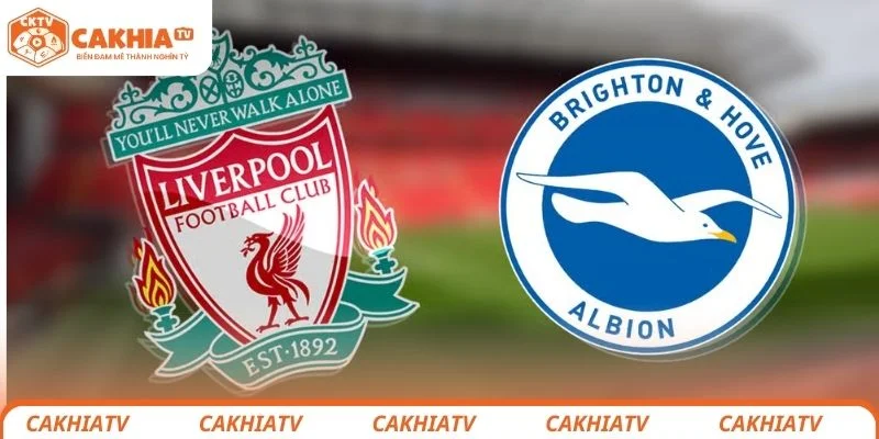 Nhận Định Liverpool vs Brighton - Nhà Vua Có Bị Đánh Bại? 1 Liverpool vs Brighton
