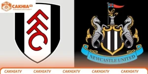 Fulham vs Newcastle United